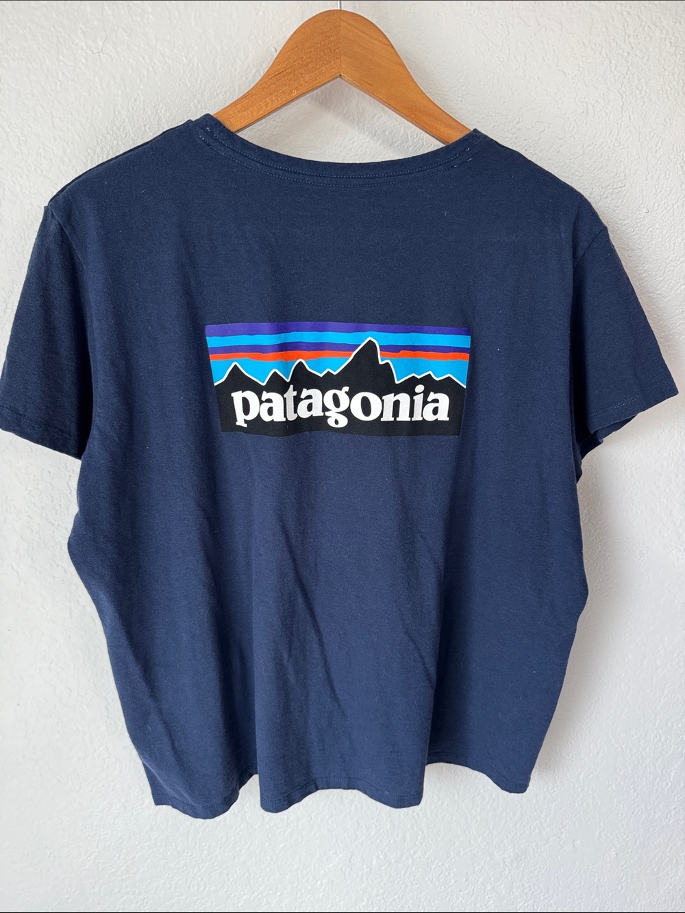 Patagonia Responsibili-tee